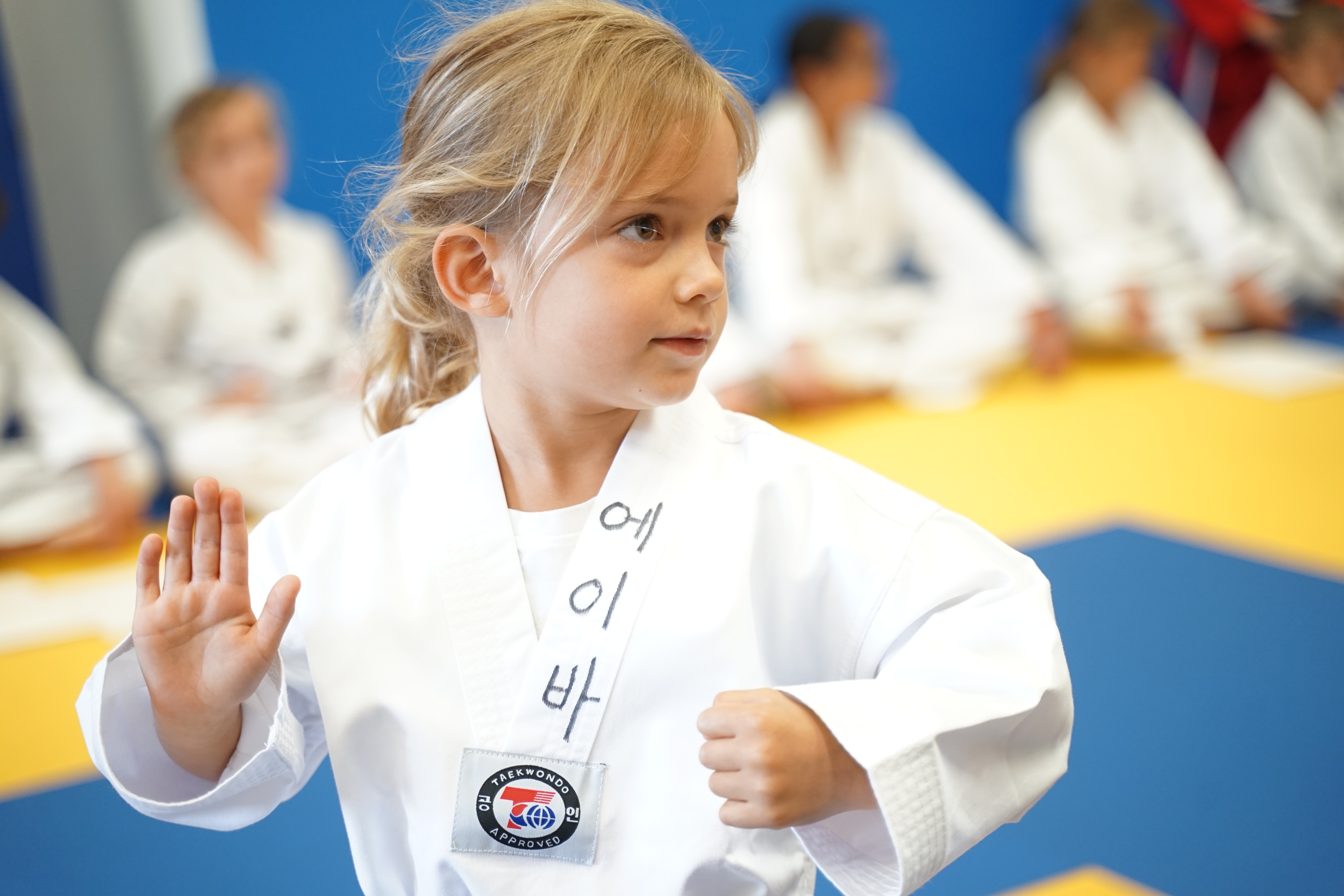 Elementary Class Background